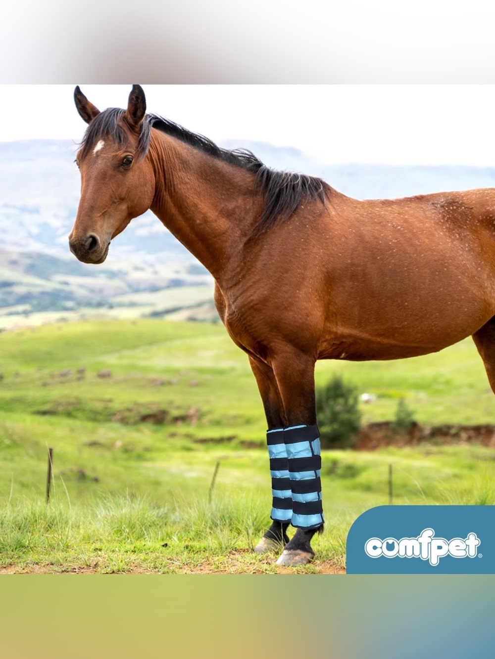 ONE COMFPET Horse Ice Boot Reusable Gel Ice Pack for Swelling Pain Cooling